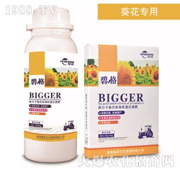 տø߷ӏͺЙCҺ-̸-ɭr(nng)I(y)