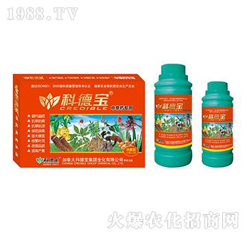 вˎàIB(yng)a(chn){턩-Ƶ