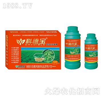 󶹌àIB(yng)a(chn){턩-Ƶ