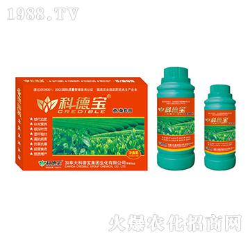 ɣàIB(yng)a(chn){턩-Ƶ