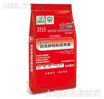 (f)ЙC(j)I(yng)B(yng)-ķɳ