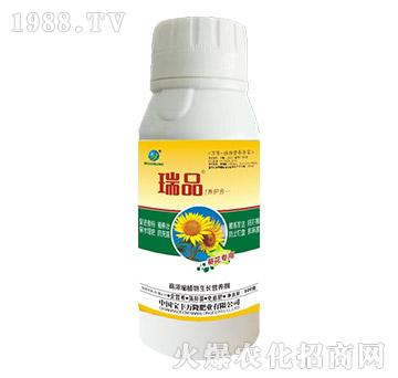 (zhun)øߝsֲL(zhng)I(yng)B(yng)-Ʒ-Sf(wn)¡