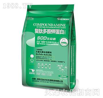 (f)Ķష⛵׹ܷ-_(ti)