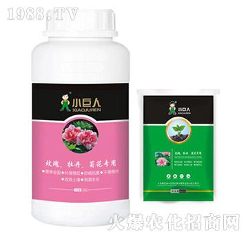 õĵջ{(dio)(ji)-С