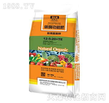 ̼øܷ12-5-20+TE--r(nng)˼_(d)