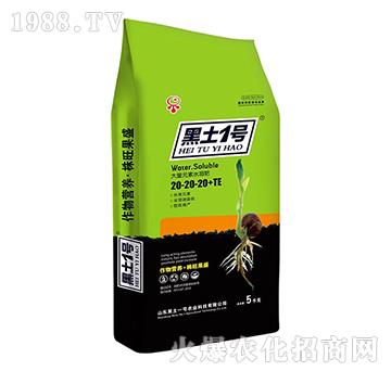 Ԫˮܷ20-20-20+TE-һ̖(ho)