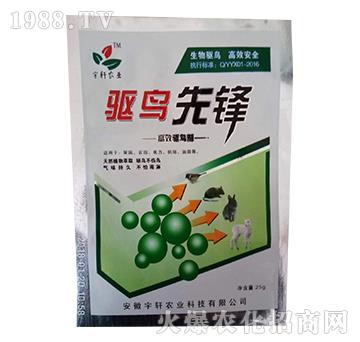 (q)B(nio)h-܎r(nng)I(y)