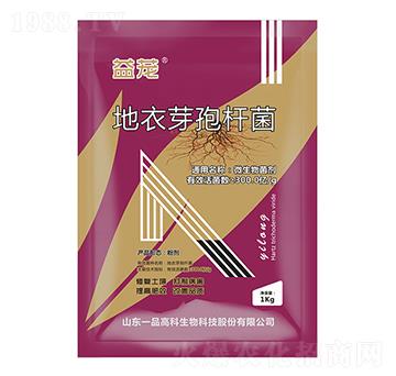 ѿߗU-d-r(nng)˼_(d)