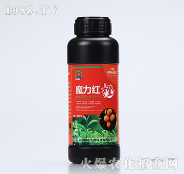 ٌD(zhun)ɫ-ħt-r(nng)