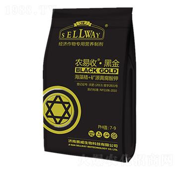 徫+VԴS-r(nng)աڽ-ِ