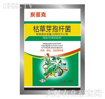 ݲѿߗU-̿-Sr(nng)ˎ