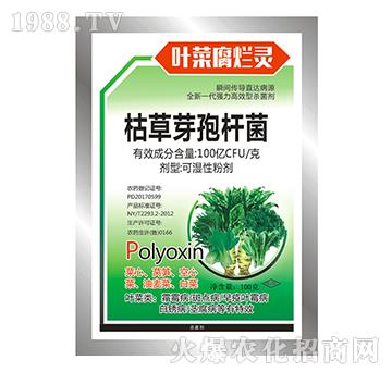 ݲѿߗU-~˸`-Sr(nng)ˎ