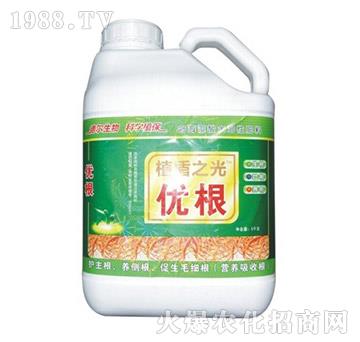 (yu)-?tng)? />
                                </div>
                            </div>
                            
                            <style type=