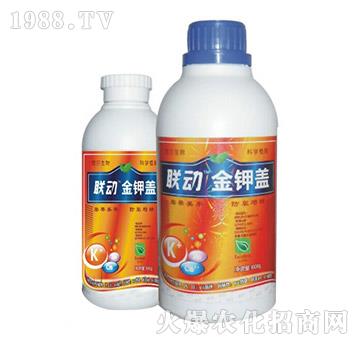 w-(lin)(dng)-?tng)? />
                                </div>
                            </div>
                            
                            <style type=