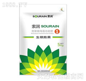 Ǻ幦ܷ-(rn)1̖(ho)-