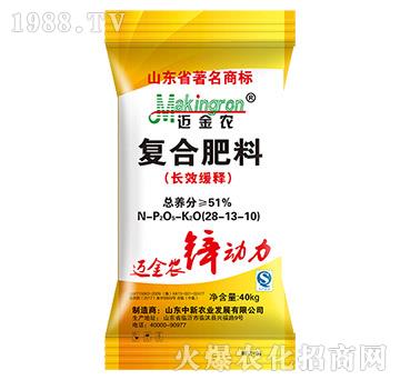 (f)ϷLЧ28-13-10-~r(nng)-r(nng)I(y)