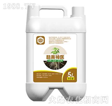 St(y)ã-ֲ(lin)