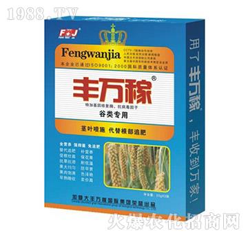 àIB(yng)ҺB(ti)ͺ{(dio)(ji)-Sf