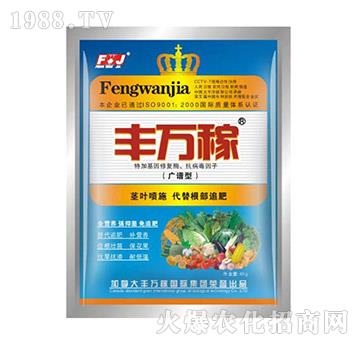 VV͠IB(yng)ҺB(ti)ͺ{(ji)-Sf