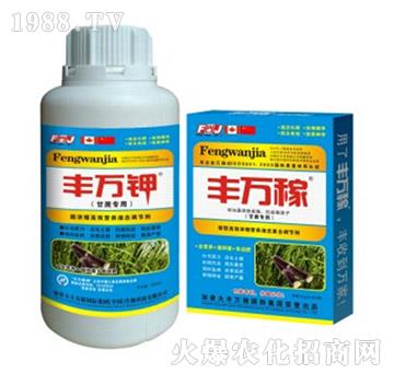 ጣøЧI(yng)B(yng)ҺB(ti){(dio)(ji)-Sf