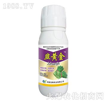 S100ml-䌍(sh)I(y)