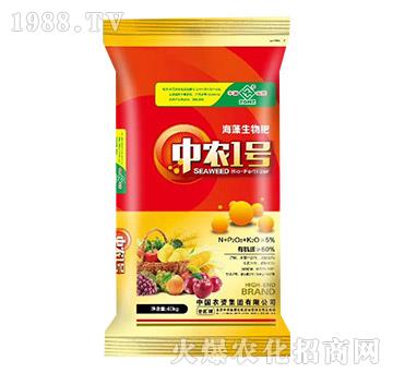 ʣt-r(nng)1̖(ho)-r(nng)