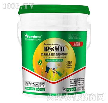 ΢ȫIB(yng)辷--r(nng)¶