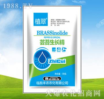 |̦L-ֲ-Sr(nng)r(nng)