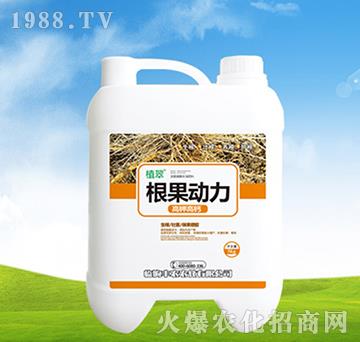 5kg-ֲ-Sr(nng)r(nng)