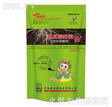 ߲ˌ΢-IB(yng)B-r(nng)