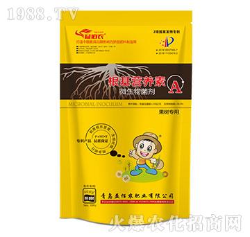 䌣΢-IB(yng)A-r(nng)