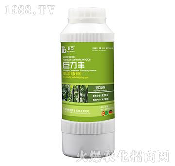 L(zhng)L(zhng)-S-Wr(nng)I(y)