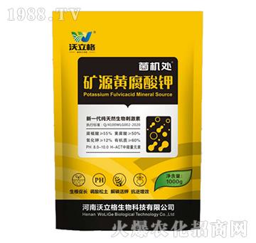 VԴS-C(j)̎-ֱ̃(yu)