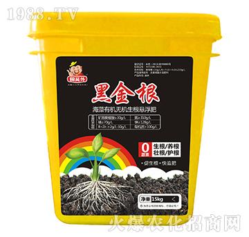 ЙC(j)o(w)C(j)Ҹ-ڽ-f(wn)