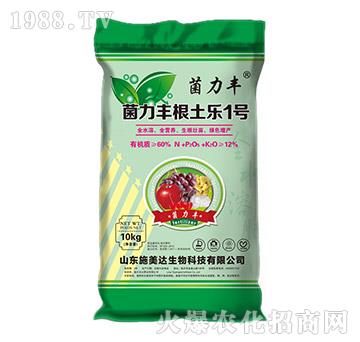 S(l)1̖(ho)-S-ʩ_(d)