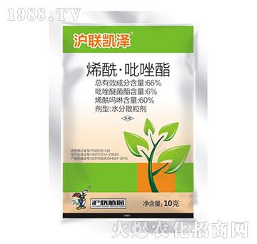 66%ϩ-(lin)P-(lin)