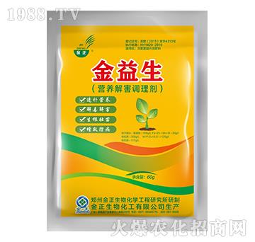 IB(yng)⺦{(dio)턩--