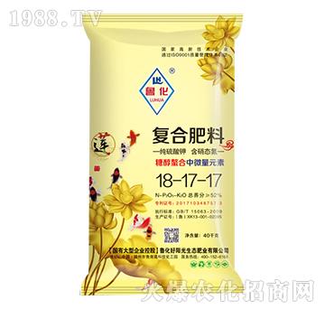 Ǵ΢Ԫ؏(f)Ϸ18-17-17-