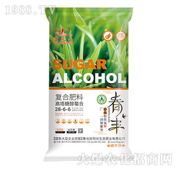 ǴϏ(f)Ϸ28-6-6-Pɽ-