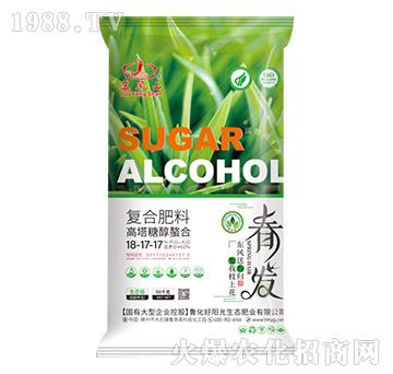 ǴϏ(f)Ϸ18-17-17-Pɽ-