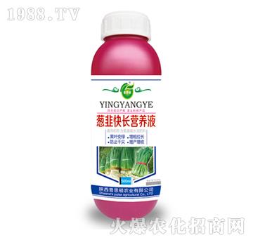 [¿L(zhng)I(yng)B(yng)Һ-˼D