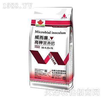 ⛠I(yng)B(yng)16-4-23+TE-