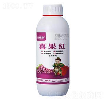 1000ьϲt-ڌ-{(ln)r(nng)