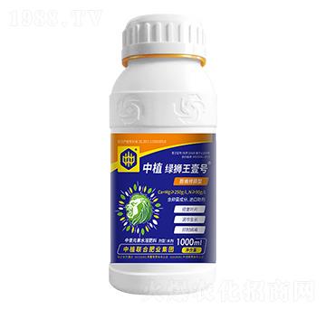 ޓpֲG{Ҽ̖(ho)-ֲ(lin)