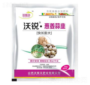 J[(L(zhng))-ּSʘI(y)