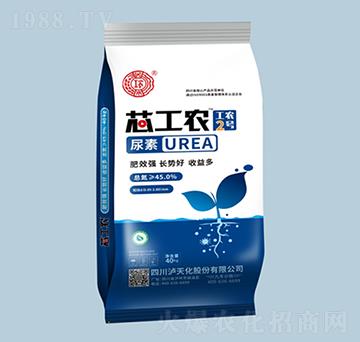 оr(nng)2̖-o컯r(nng)-r(nng)֮