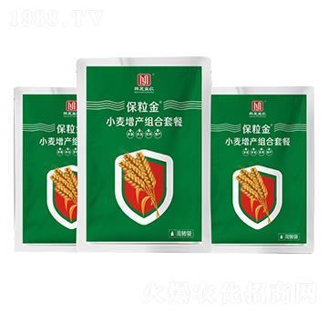 Сa(chn)Mײ--nr(nng)