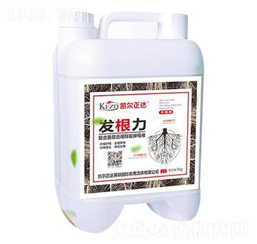 l(f)ͺϾl(f)ĸҺ-لP