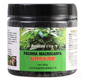 l(f)ؔ䌣÷-ؐʩ-r(nng)