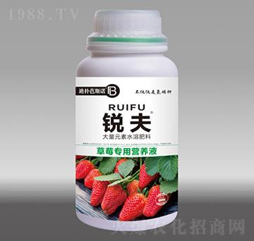 ݮàI(yng)B(yng)Һ-J-Ϙ˹Z